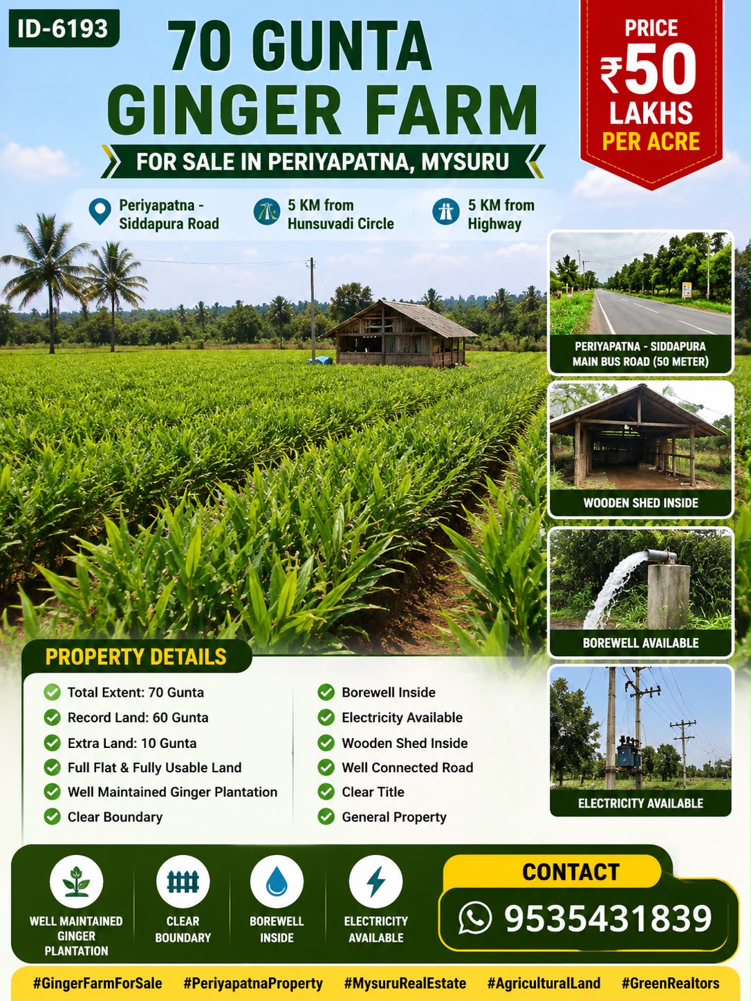 🆔 *PROPERTY ID – 6193* 🌿 *70 Gunta Ginger Plantation for Sale – Near Hunsuvadi, Periyapatna–Siddapura Road*
